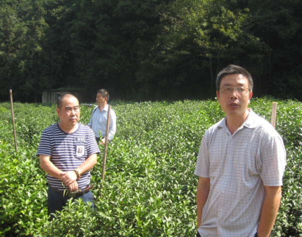 ����eɽ�S�衷��(chu��ng)�ƚvʷ�����P(gu��n)�DƬ��B